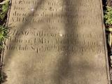 image of grave number 432927